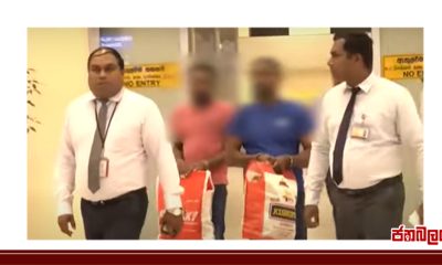 මුදල් වංචා සිදුකර ඉන්දියාවට පලාගිය සැකකරුවන් තිදෙනෙකු කටුනායක ගුවන් තොටුපළේදී අත්අඩංගුවට ගැනීම
